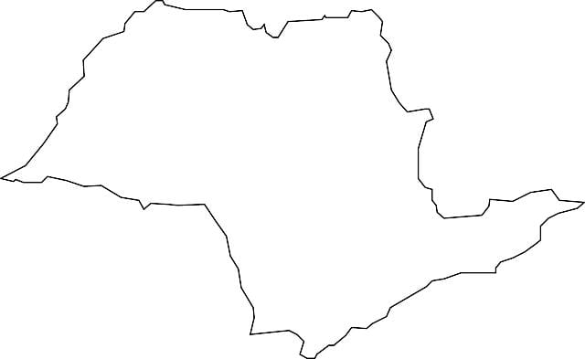 Harta e São Paulo vektor
