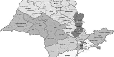 Harta e São Paulo e zezë dhe e bardhë